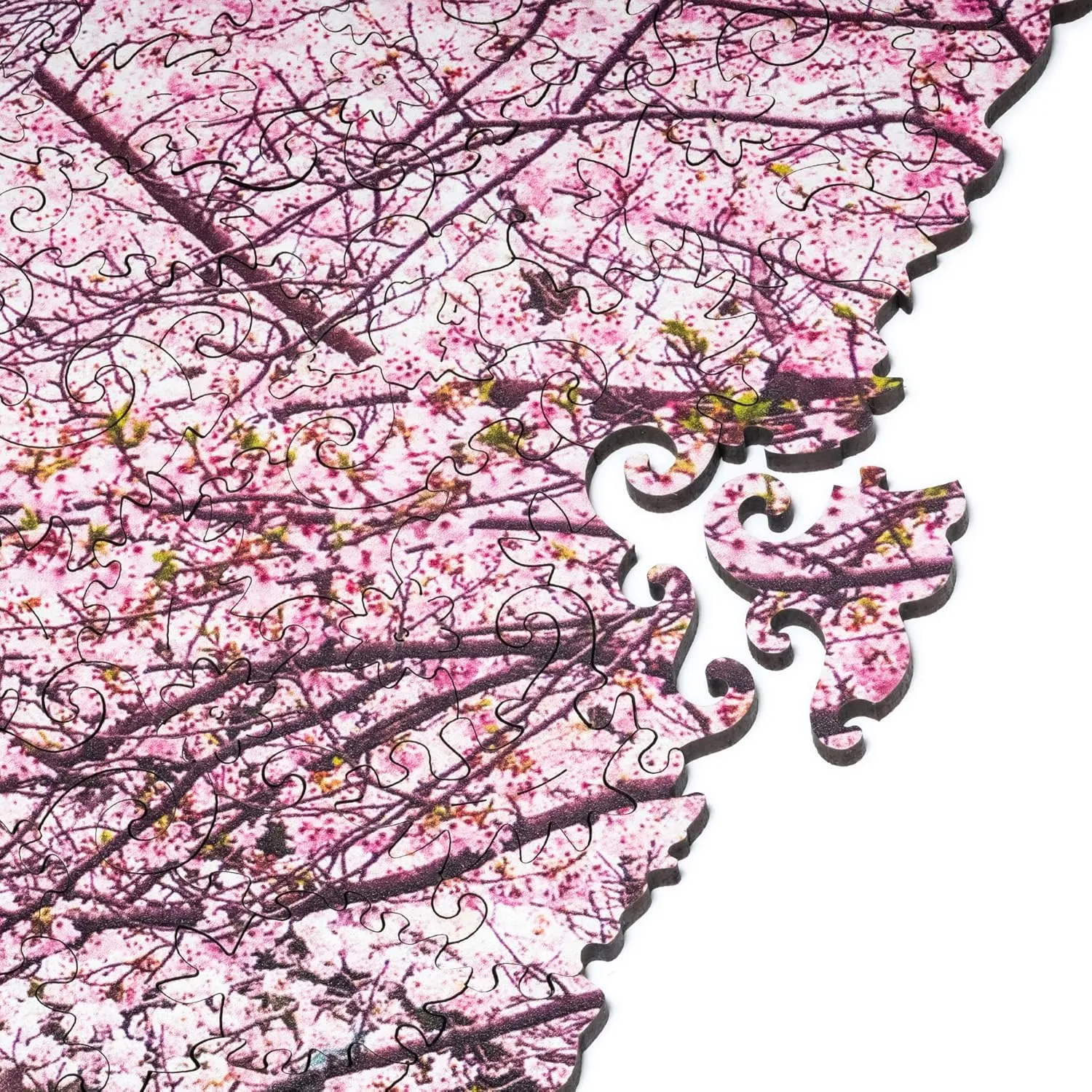 1000 Pieces$ 23.6" x 17.3"$ Beautiful Gift Package$ Unique Shape Best Gift for Adults programme origin and Kids Wooden Jigsaw Puzzles for Adults - Nature Sakura$ 