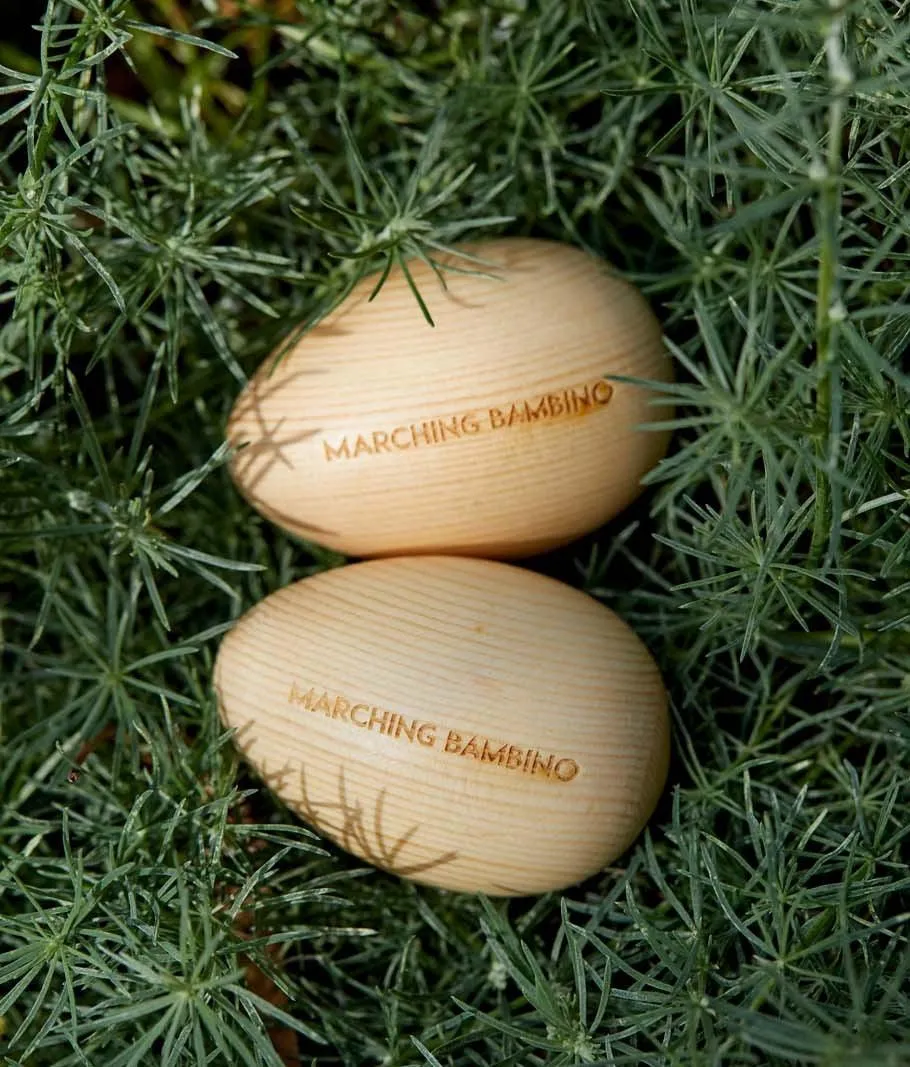 2 X Egg Shakers by Marching Bambino Musical Instrument for Kids Baby Toys Baby Gifts Idea 6m 