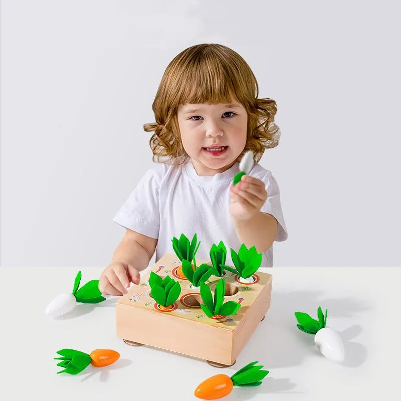 3D Wooden Carrot Harvest Matching Puzzle Game