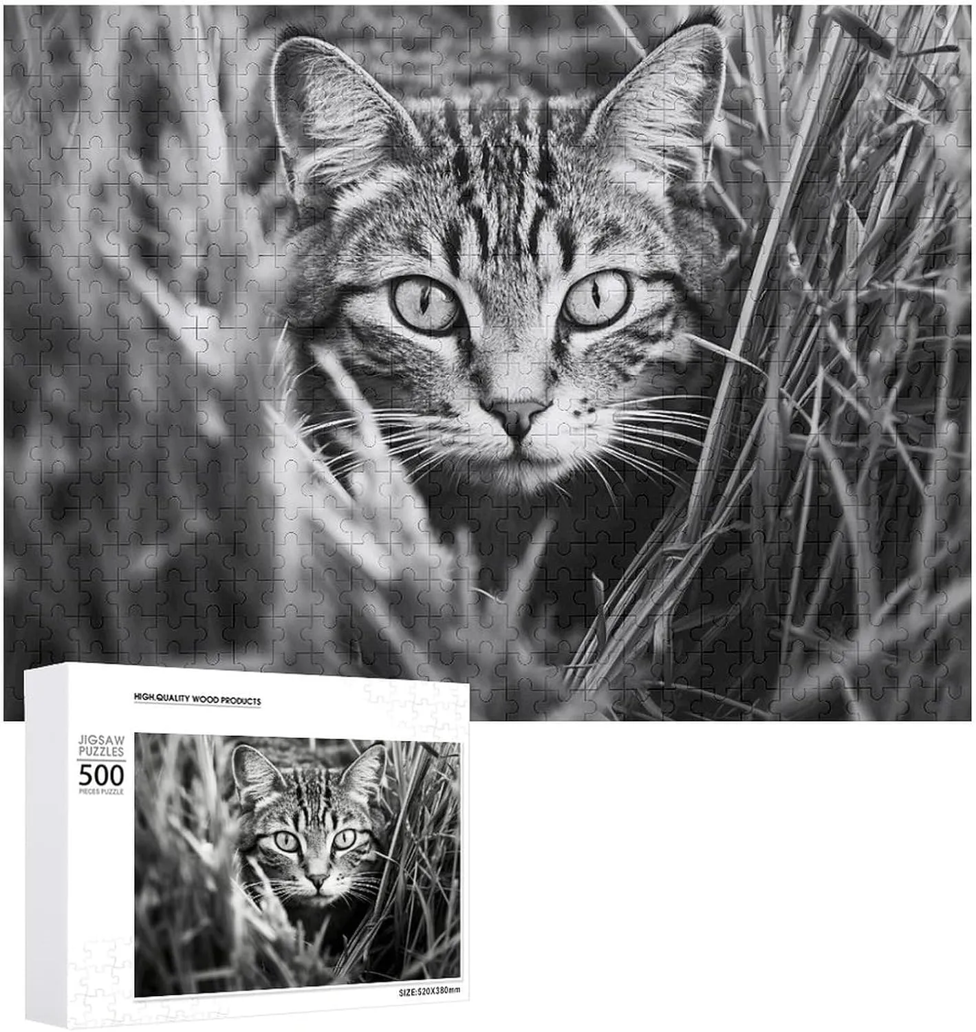A Cat on The Grass Pet melody fossilization worksheet locally raindrop Puzzle Wooden Jigsaw Puzzles from Photos Wedding Puzzle Family Reunion Puzzle for Wedding Gift Puzzle Personalized Photo Puzzle 1000/500/300 Pieces 