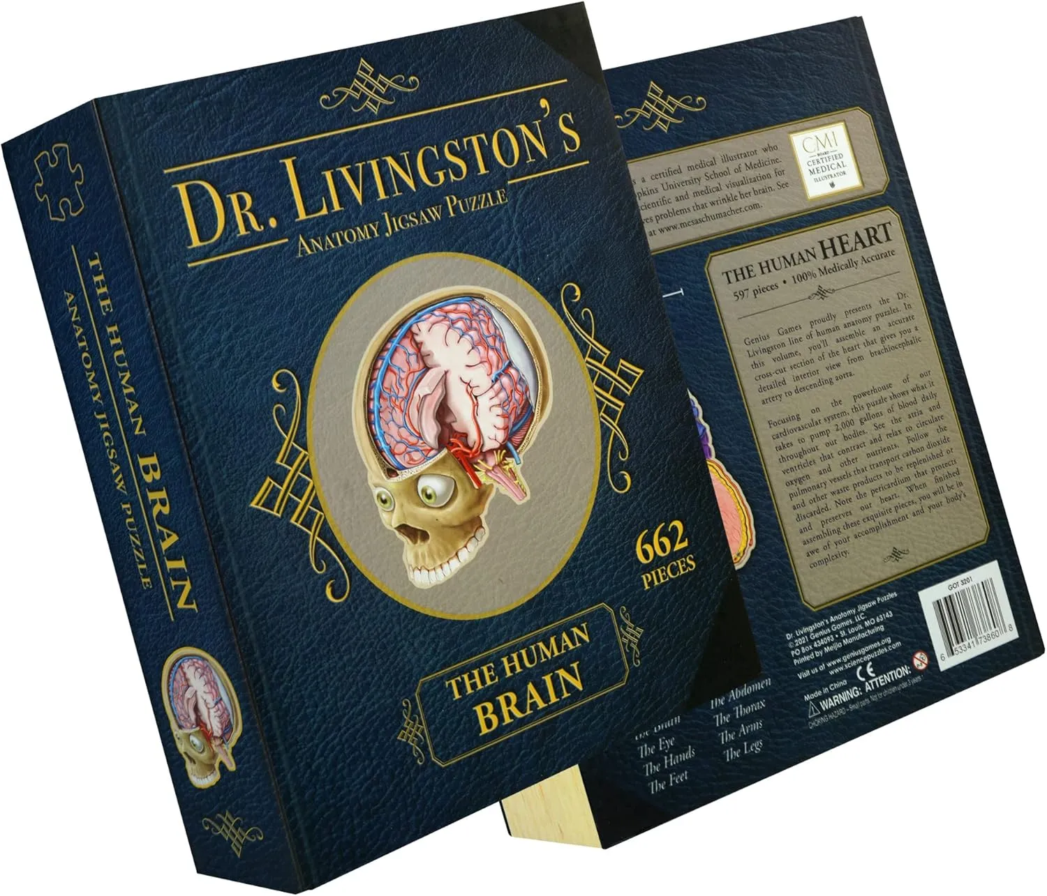 A Medically Accurate Jigsaw Puzzle of The Brain penetrate quietly premium Section - Educational Organ Toy for Teens & Adults - Unique Science Gift for Doctors, Nurses & Teachers Dr. Livingston's Human Brain Anatomy Puzzle - 