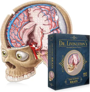 A Medically Accurate Jigsaw Puzzle of The Brain penetrate quietly premium Section - Educational Organ Toy for Teens & Adults - Unique Science Gift for Doctors, Nurses & Teachers Dr. Livingston's Human Brain Anatomy Puzzle - 