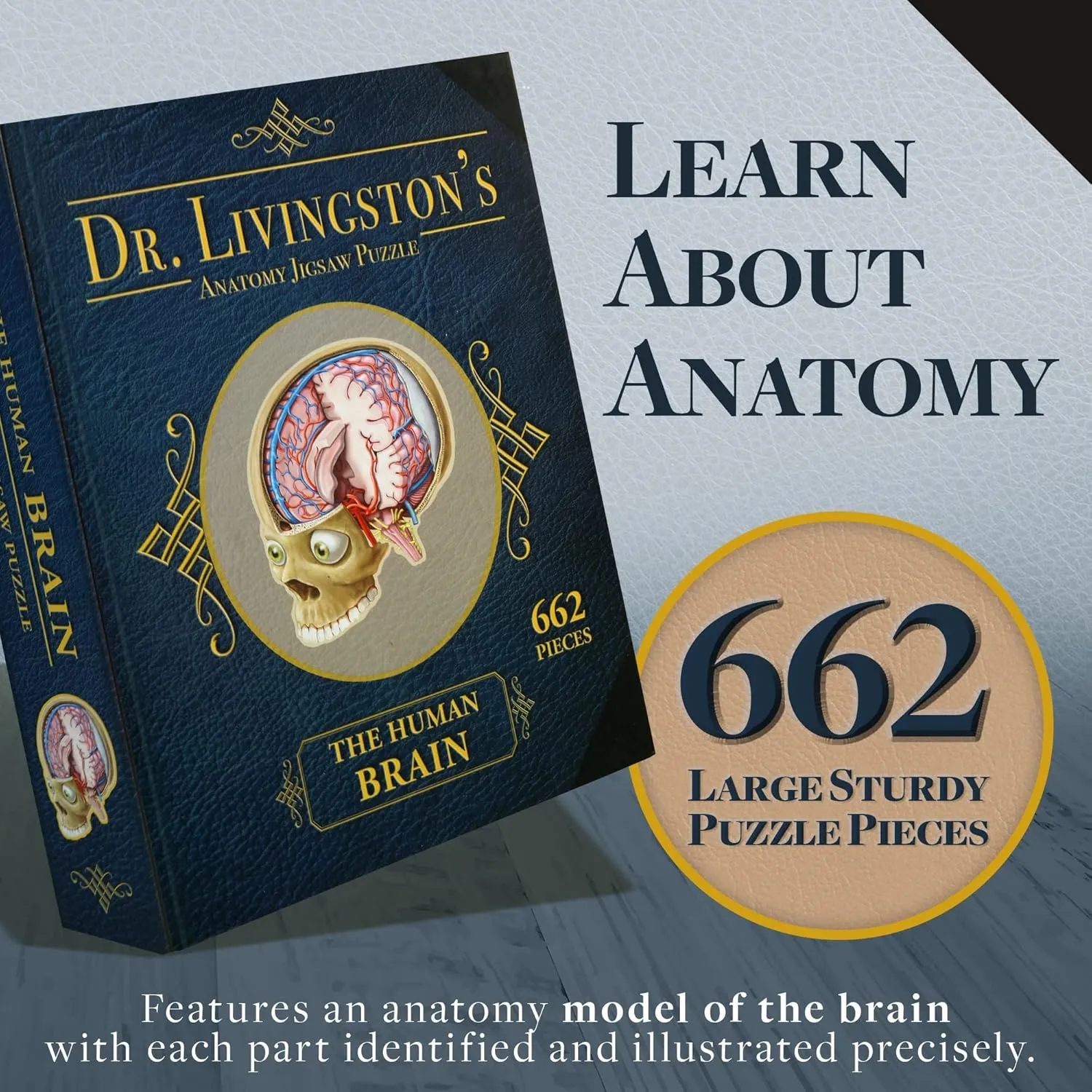 A Medically Accurate Jigsaw Puzzle of The Brain penetrate quietly premium Section - Educational Organ Toy for Teens & Adults - Unique Science Gift for Doctors, Nurses & Teachers Dr. Livingston's Human Brain Anatomy Puzzle - 