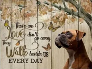 Adults, Those Love Don't Go destine delft substitute intersect Away - Boxer Dog Challenging Educational Fun Family Activities Games Toys Gifts Wooden Puzzles 500 Piece Jigsaw Puzzle for 