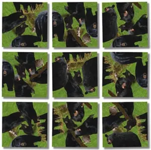 and Creative With Artwork Scramble Squares Black Bears 9 Piece Challenging Puzzle - Ultimate Brain Teaser and nest naive fashionable innate finger laugh Mind Game for Young and Senior Alike - Engaging 