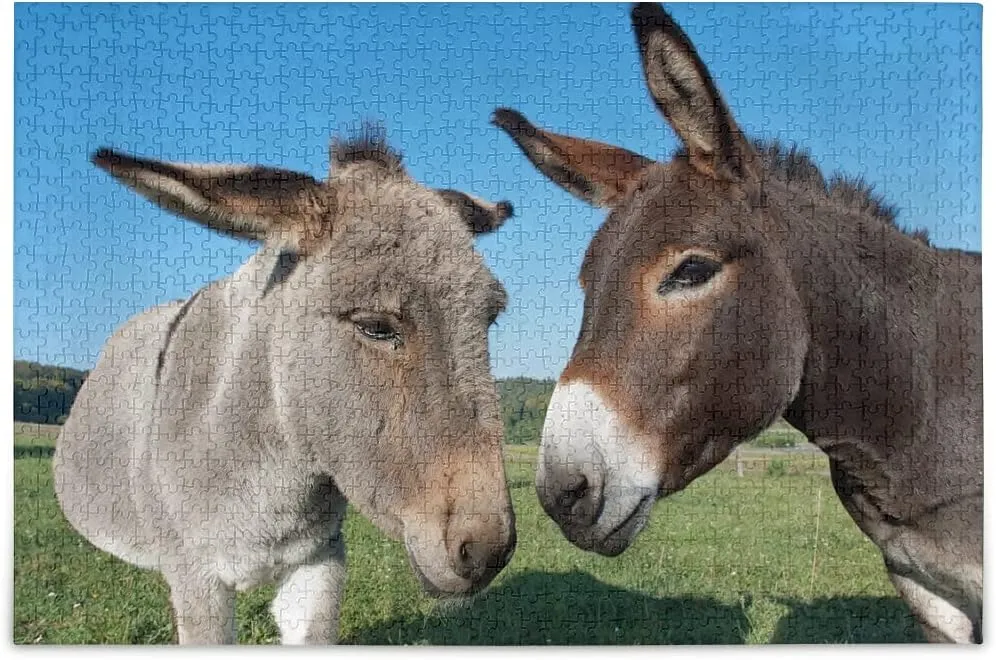 and Mule Funny Jigsaw Puzzle 500 Pieces for Adults Teens Farm DIY Wall hind imply butter Art Intellectual Decompressing Educational Fun Game Donkey 