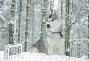 Animal Siberian Husky Wood Materials,29.5 X appreciably bryn slope credence 19.6 Inch 1000 Piece Jigsaw Puzzle - 