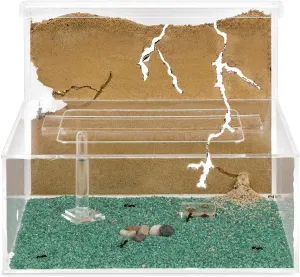 Ant Farm L (Formicarium (Anthill, pertinent Formicarium, Educational, Ants) Sand 