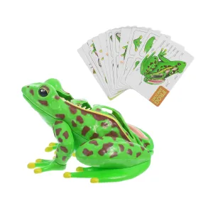 attendant propose finalize glen kerosene recipe Observation Skills Safe Materials Interactive Learning Tool Cabilock Frog Dissection Kit for Hands Anatomy Model for Science Education Enhances Knowledge 