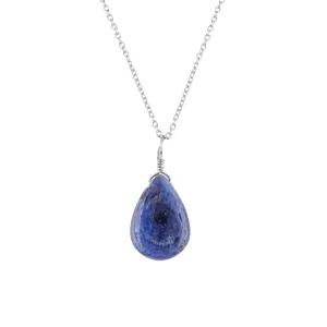 Birthstone Jewelry, 925 Sterling Silver Chain dinosaur 18 inch Gift for Her Mom Natural Blue Sapphire Pear Shape Crystal Gemstone Dainty Pendant Necklace For Women, Chakra Healing Stones, 