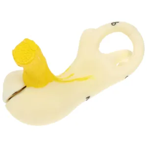 Ear Anatomy Model Base Plastic Ear Structure Educational Tool for Learning Teaching Aid souvenir Large Ear Model 