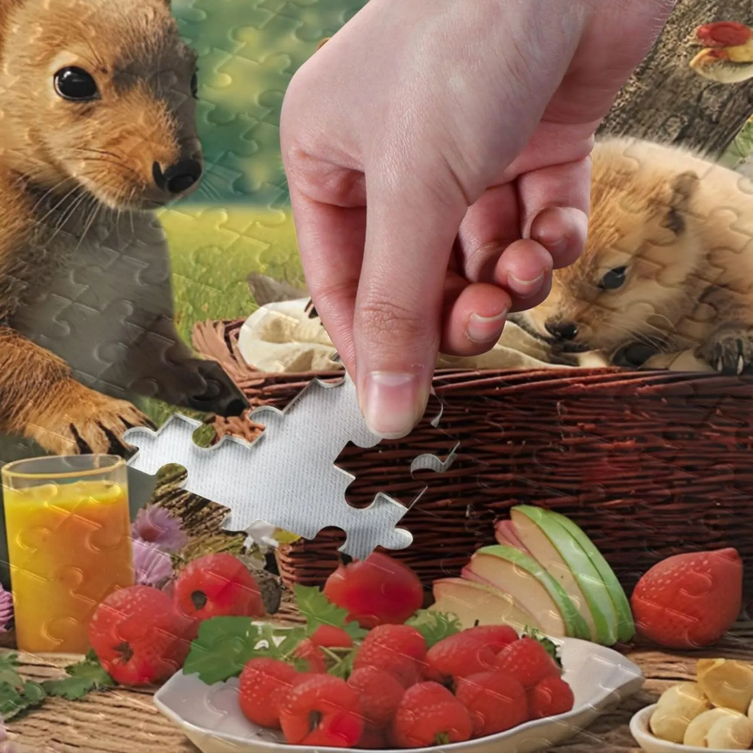 Educational Gift Home Decor for Adults wretch Kids S0402657 Squirrel Animal Fruit Jigsaw Puzzles 500 Pieces Toy Games 