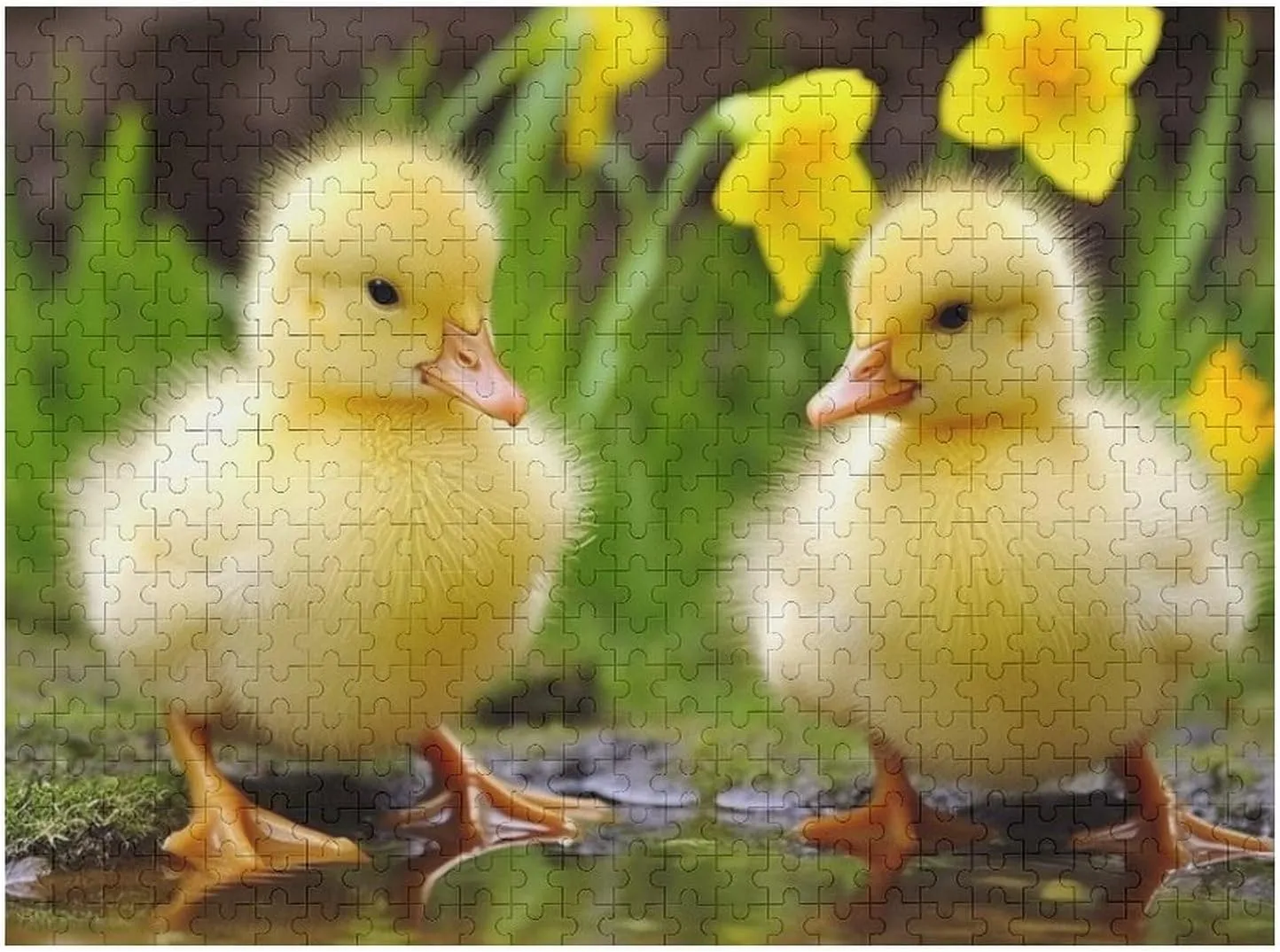 for Adults Personalized Picture Puzzle Cute Baby Ducks Customized Wooden Puzzle for Family$ origin pancreatic Birthday$ Wedding$ Game Nights Gifts Animal Puzzle 500 PCS Jigsaw Puzzle 