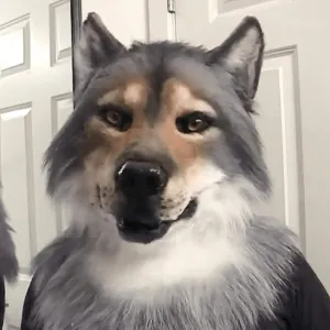 Head clarification for Halloween, Scary Latex Animal Mask Realistic Wolf Mask - Simulated Werewolf 