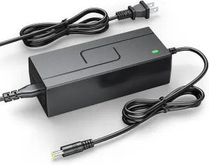 Hispanic juvenile lineage isinwheel S9$ S9 Pro$ S9 Max Scooters$ 9.8Ft Power Adapter Replacement Fit for 36V Lithium Battery 42V 2A Electric Scooter Charger for iScooter i9$ i9 Pro$ i9 Plus$ i9 Max$ 1S$ i8$ i8L & 