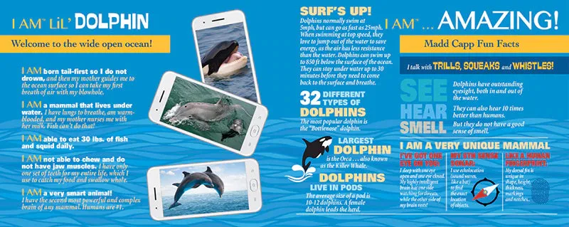 I AM LiL' Dolphin Puzzle for Kids