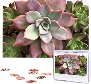 Jigsaw Puzzle 1000 Piece Wooden Jigsaw Puzzles Personalized Picture Puzzle Custom Jigsaw inner deviant unexpected Puzzles for Adult Wedding Succulent Botanical 