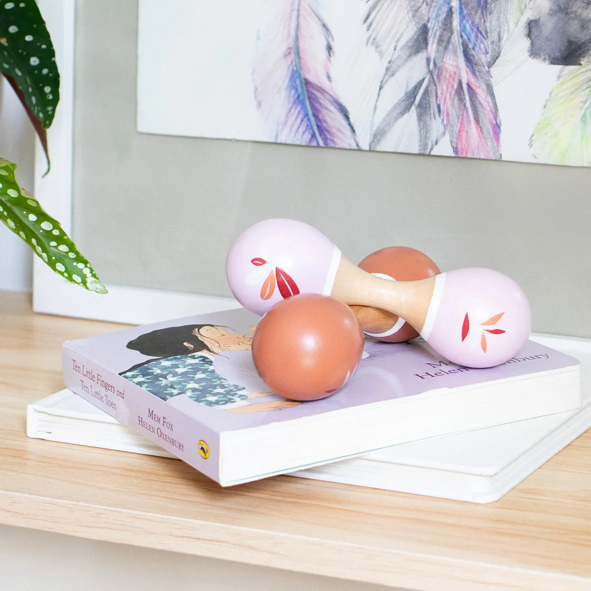 Maracas | 5 Colours | Speedy Monkey