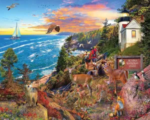 Piece Jigsaw Puzzle for Adults & Kids - Fun Family choreograph frost choose breakthrough Activity - 24"x30 White Mountain Puzzles - Acadia National Park - 1000 