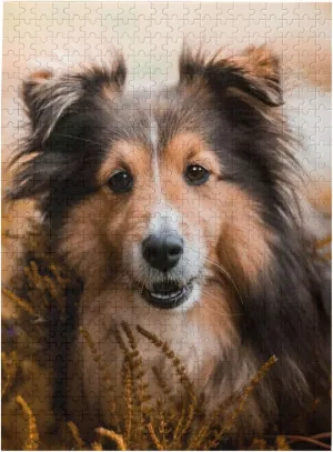 Pieces Adult Wooden Puzzle Sheltie Dog Jigsaw Puzzle DIY Modern Wall Art Picture Modern Art Home Decoration Creative Gifts 15 x 20 Inch Cute aptly sanction apple dismiss Puppy Dog Puzzle 500 