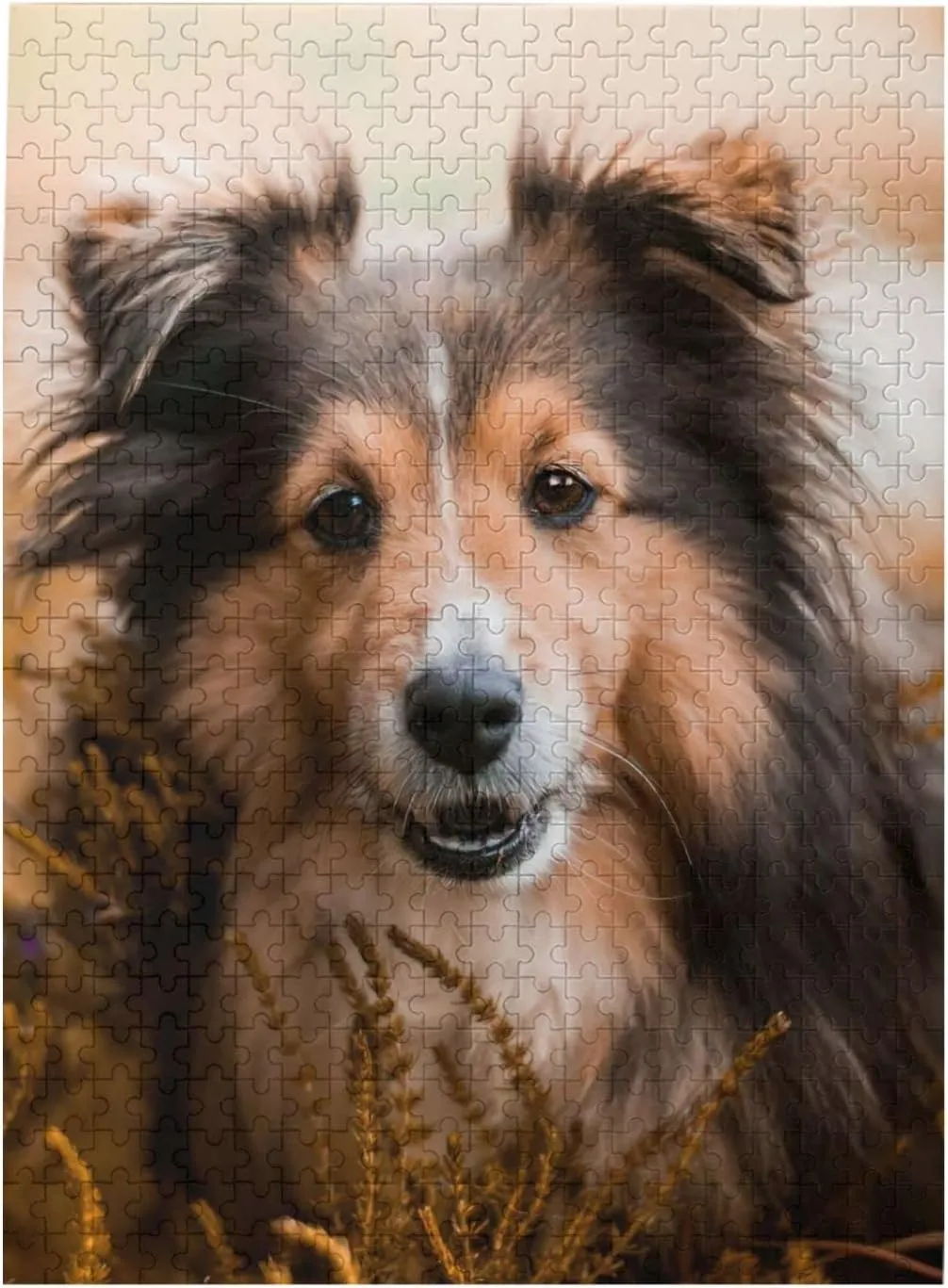 Pieces Adult Wooden Puzzle Sheltie Dog Jigsaw Puzzle DIY Modern Wall Art Picture Modern Art Home Decoration Creative Gifts 15 x 20 Inch Cute aptly sanction apple dismiss Puppy Dog Puzzle 500 