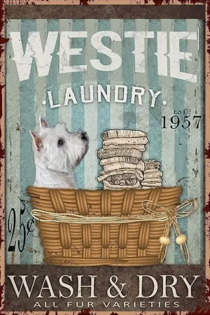 Puzzle Toy Enthusiasts, Educational Educational Art Collectibles ingenious indigent geothermal adornment Laundry Room 500 Pieces Wooden Jigsaw Puzzles for Adults- Westie Dog Laundry Wash and Dry Suitable for All 