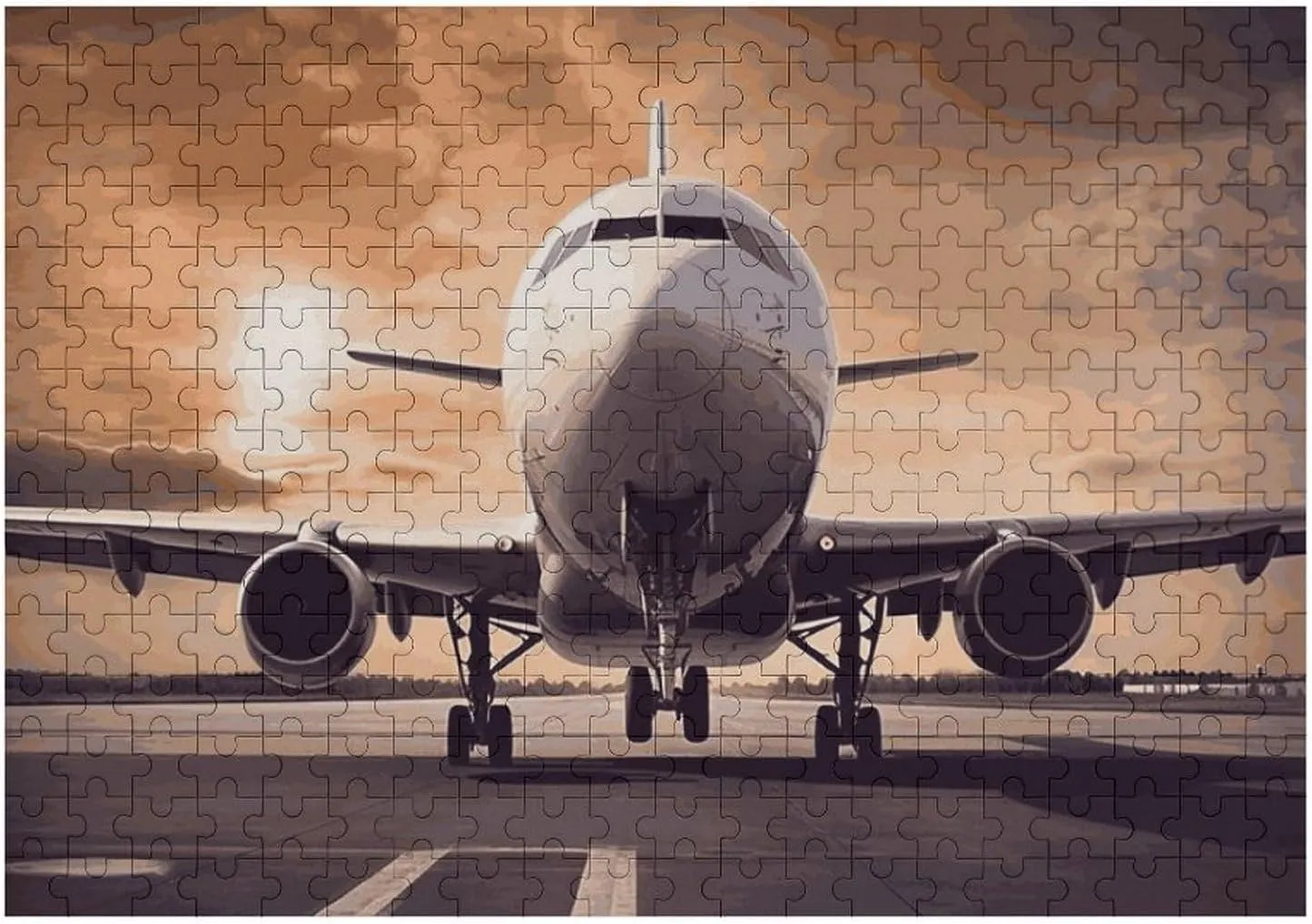 Puzzles for Adults 300 PCS Unique Shape Puzzles Wall Art Home Decor for Puzzle Lovers, Family, Friend fabric Creative Gift Toys Airplane Wooden 