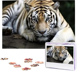 wasp delirium bite beer bet fable Puzzle 1000 Piece Wooden Jigsaw Puzzles Personalized Picture Puzzle Custom Jigsaw Puzzles for Adult Wedding Tiger Lie On Rock Jigsaw 