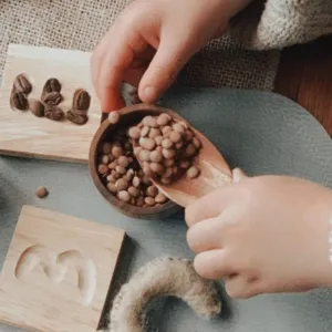 Wooden Spoon